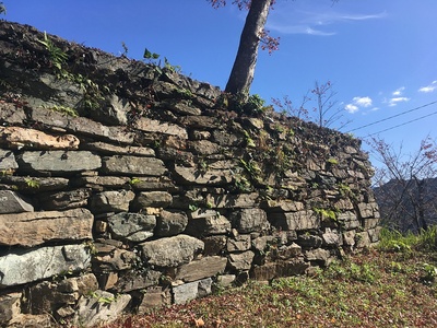 本丸東側の石垣