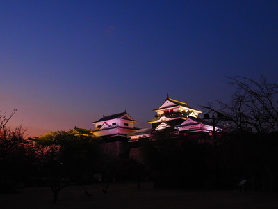 天守群夕景