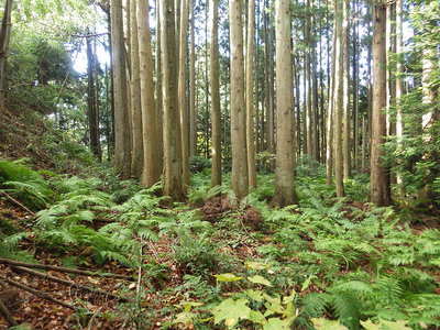 長屋敷