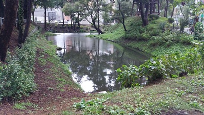 鶴ヶ池