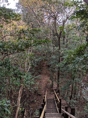 三の郭奥の土橋