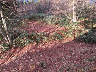 北ノ郭（鳥居丸から）