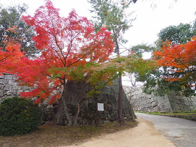 二の丸虎口の紅葉