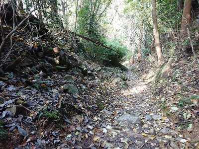 登山道