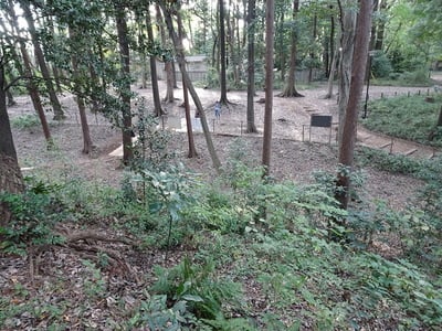 主郭西側の土塁の上から