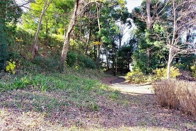 茅ヶ崎城の土塁と空堀