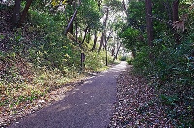 茅ヶ崎城の堀切