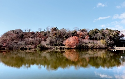 韮山城龍城山と城池