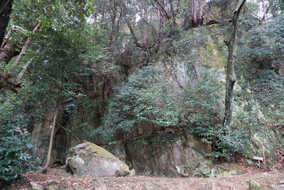大岩登り口の大岩