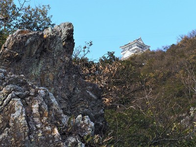 山頂を見上げる（東坂ハイキングコース）