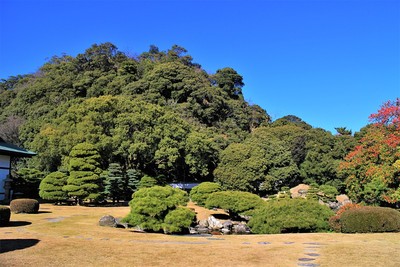 徳島城旧表御殿庭園と城山（南側）