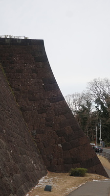 本丸北壁石垣(東側から)