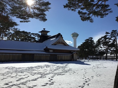 函館奉行所と五稜郭タワー