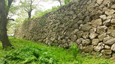 本丸跡東南面の石垣
