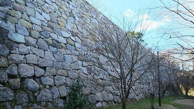 二の丸、東の丸の北側の石垣