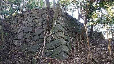 東の丸の石垣