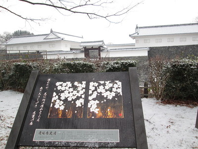 二の丸東大手門と「霞桜春光図」