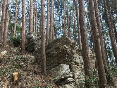 主郭の石塁替わりの自然岩