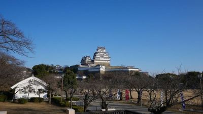 千姫ぼたん園から三ノ丸に続く階段からの天守閣