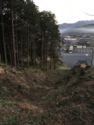 雷電神社東側の竪堀(上から)