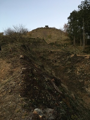 雷電神社東側の竪堀(下から)