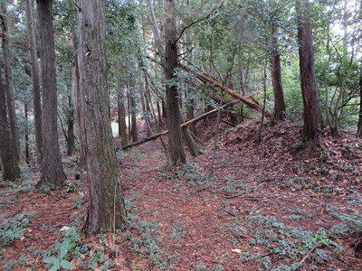 最後の砦の土塁