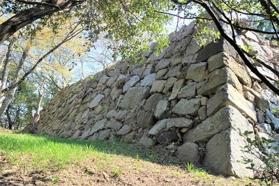 二の丸石垣（南西側）
