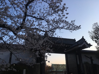 桜門と桜
