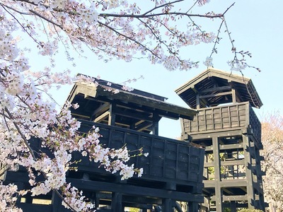桜と城門と物見櫓