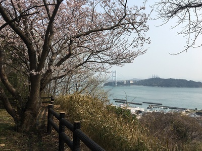 二の丸跡からの瀬戸大橋と桜