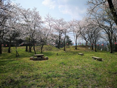 中の丸(桜の季節2019)
