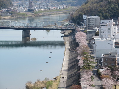 天守から木曽川沿いの桜とツインブリッジ犬山橋