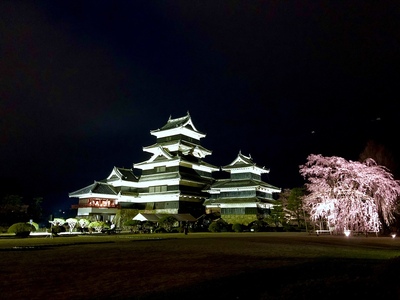 しだれ桜と松本城