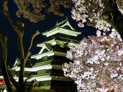 満開の桜と松本城