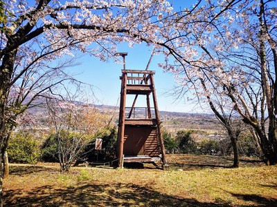 狼煙台(桜の季節)