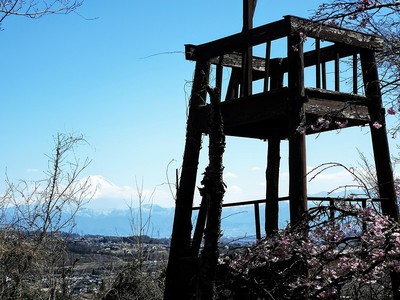狼煙台と富士(桜の季節)
