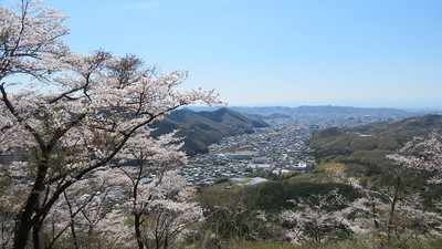 桜に囲まれた本丸からの桐生市の眺望
