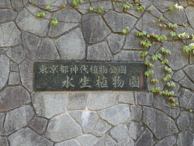城跡は植物公園になってます。