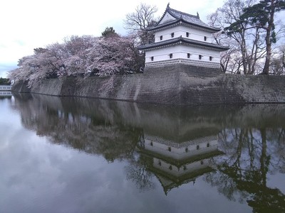 堀に映る二の丸隅櫓と桜