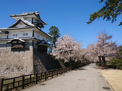 菱櫓と桜並木