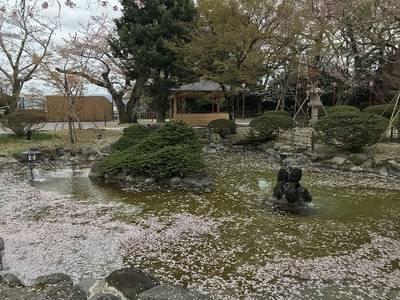 日本庭園（本丸）