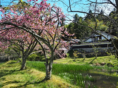 明知陣屋　堀跡