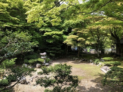 清瀧寺徳源院庭園