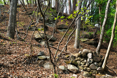 秋葉山出丸の南側斜面の石垣