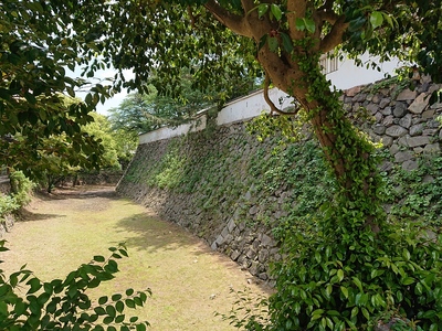 北側石垣と空堀