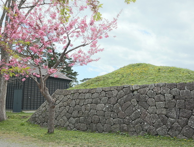 桜に石垣