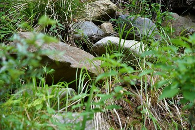 登城道斜面に見える石