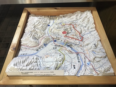 国土地理院地図利用立体模型