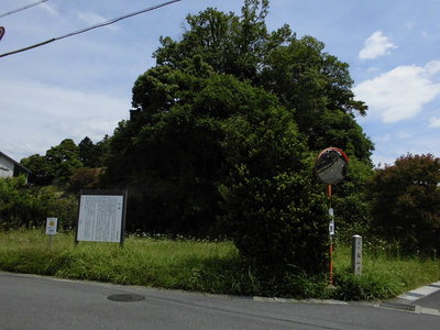 城址全容