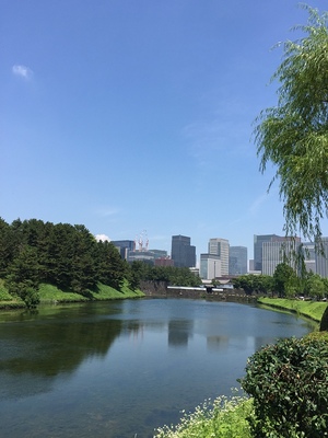 遠くに桜田門が見えます。